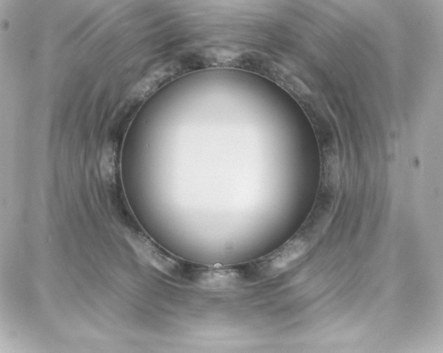 X0000087750274200705211045