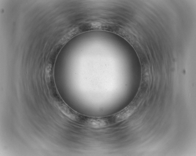 X0000087750275200705211045