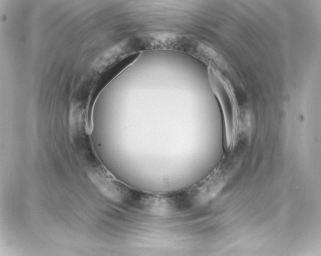 X0000087750276200705211045