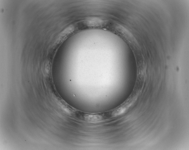 X0000087750277200705211045