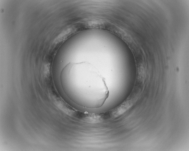 X0000087750278200705211045