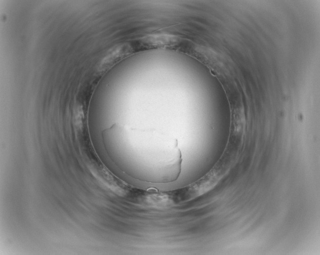 X0000087750279200705211045