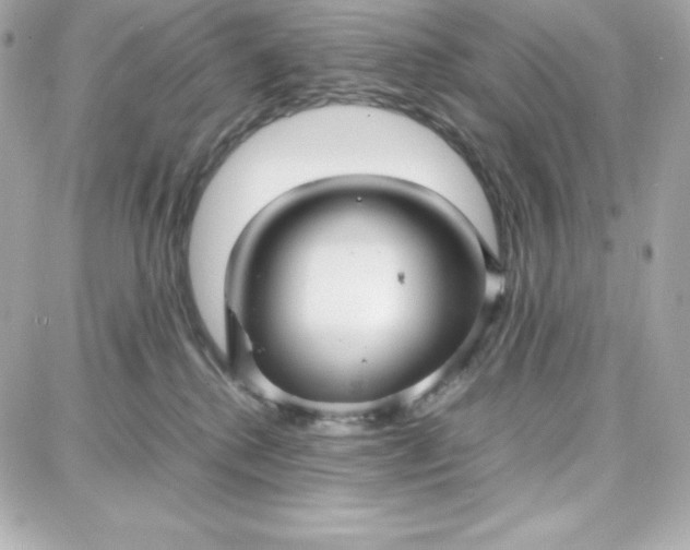 X0000087750280200705211045