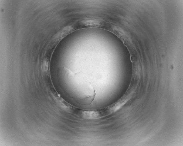 X0000087750281200705211045