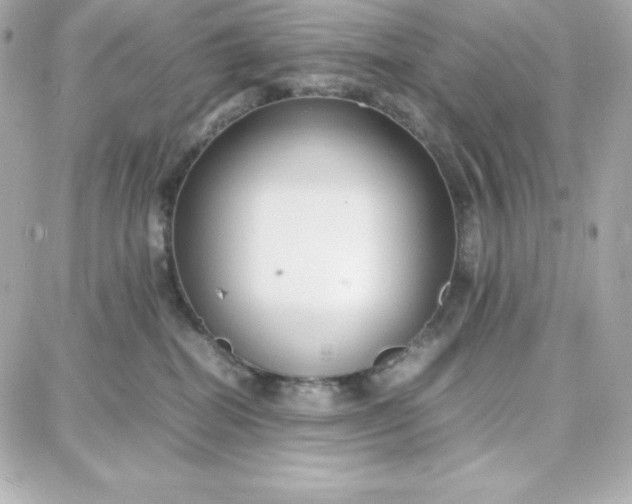 X0000087750282200705211045