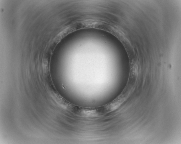 X0000087750283200705211045