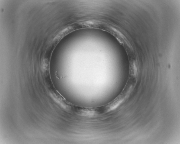 X0000087750284200705211045