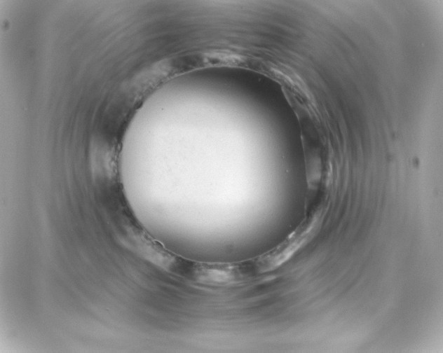 X0000087750285200705211045