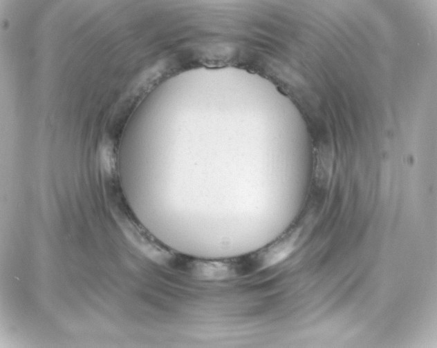 X0000087750287200705211045