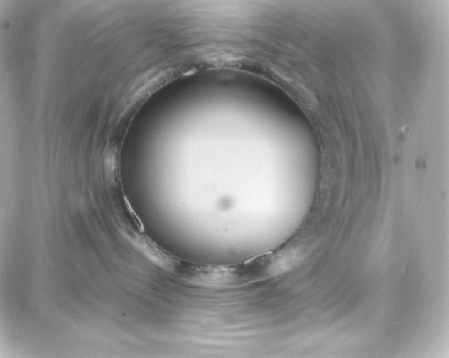 X0000087750288200705211045