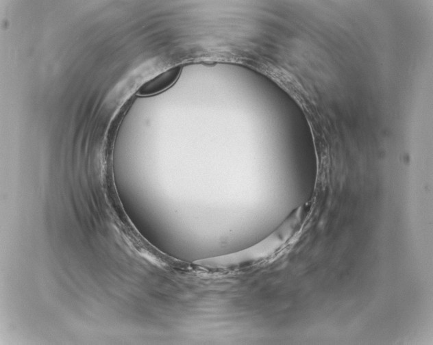 X0000087750290200705211044