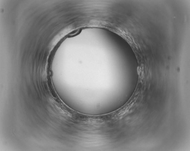 X0000087750292200705211044