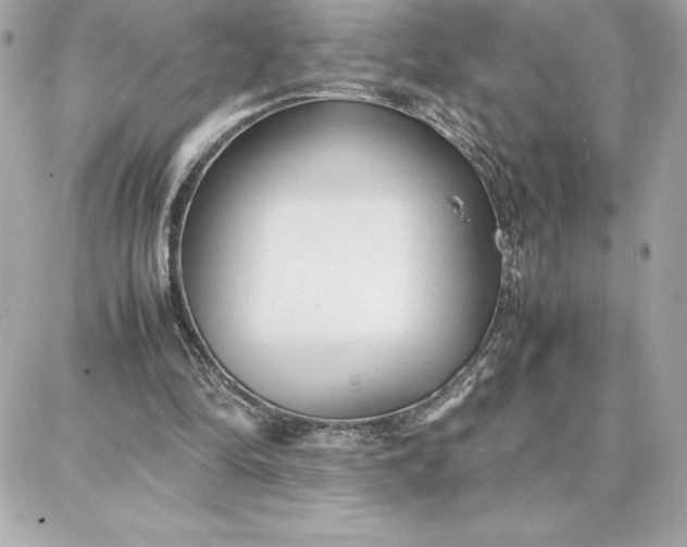 X0000087750294200705211044