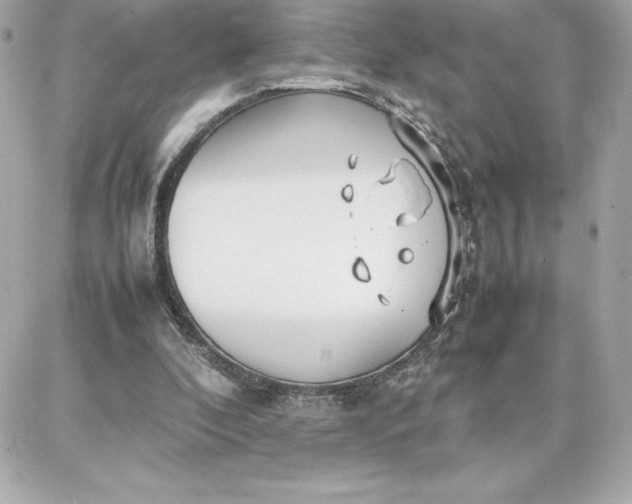 X0000087750296200705211044