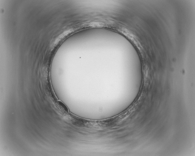 X0000087750297200705211044