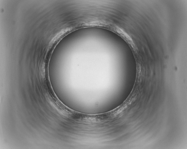 X0000087750298200705211044