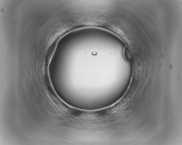 X0000087750299200705211044