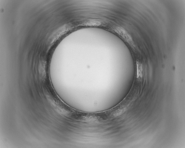 X0000087750300200705211044