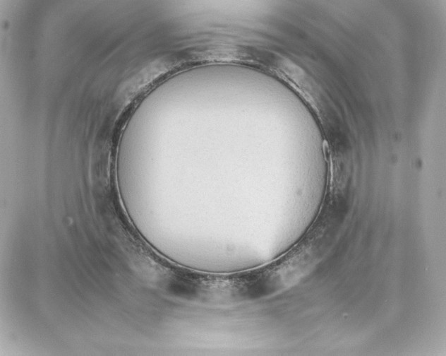 X0000087750301200705211044