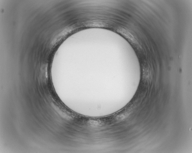 X0000087750302200705211044