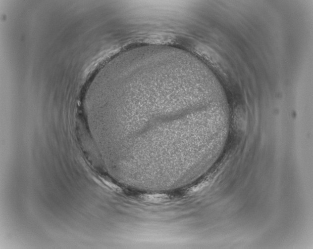 X0000087750303200705211044