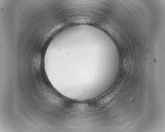 X0000087750304200705211044