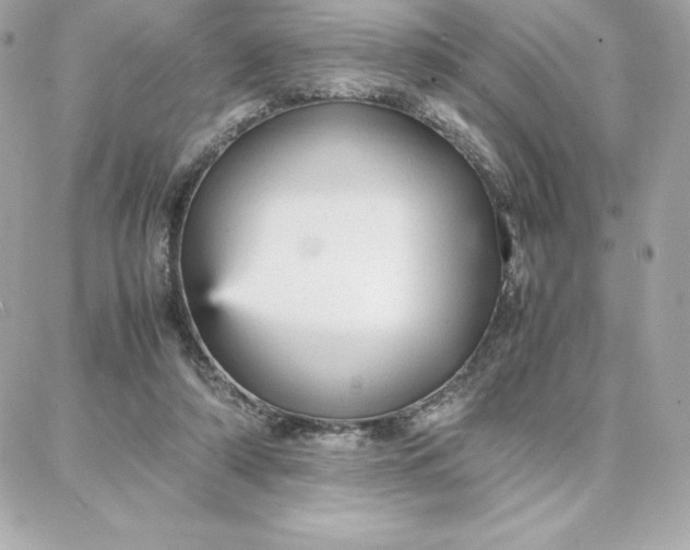 X0000087750306200705211044