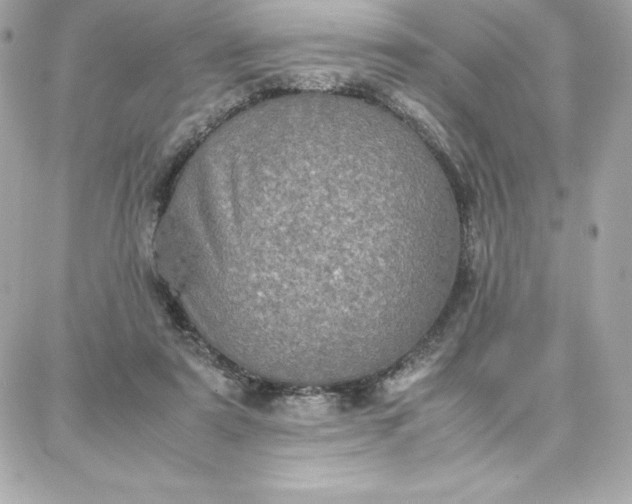 X0000087750307200705211044