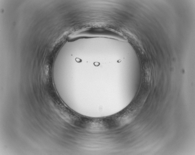 X0000087750308200705211044