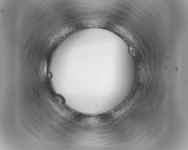 X0000087750310200705211044