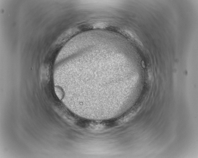 X0000087750311200705211044