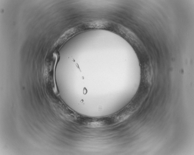 X0000087750312200705211044