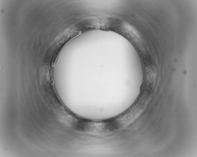 X0000087750313200705211044