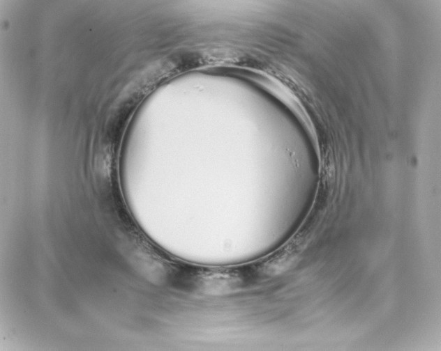 X0000087750315200705211044