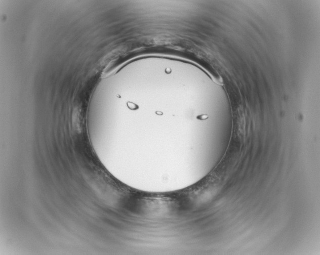 X0000087750316200705211044