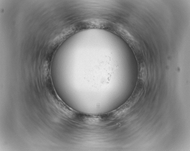 X0000087750318200705211044