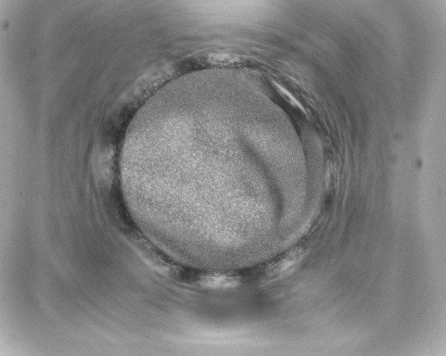 X0000087750319200705211044