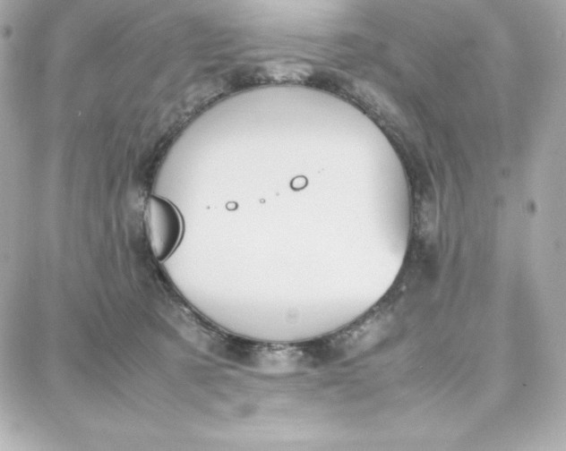 X0000087750321200705211044