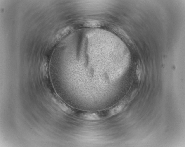 X0000087750322200705211043