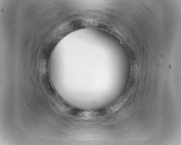 X0000087750323200705211043