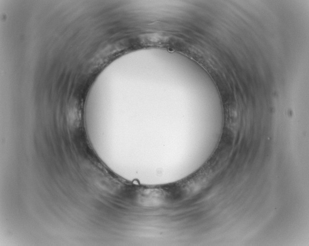 X0000087750324200705211043