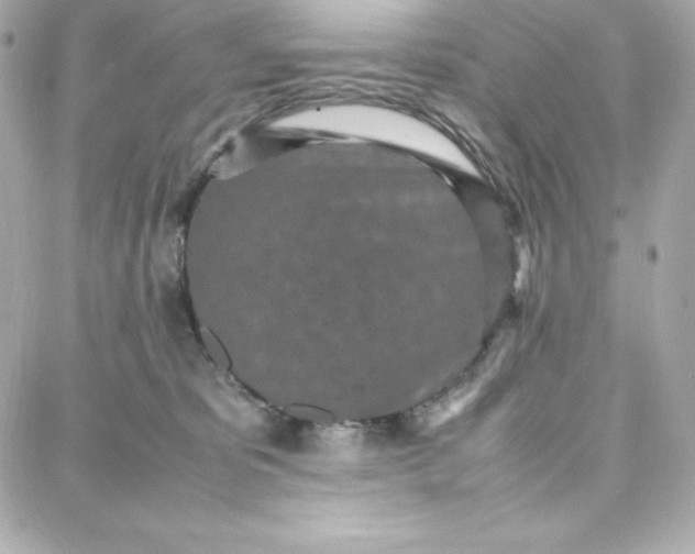 X0000087750325200705211043