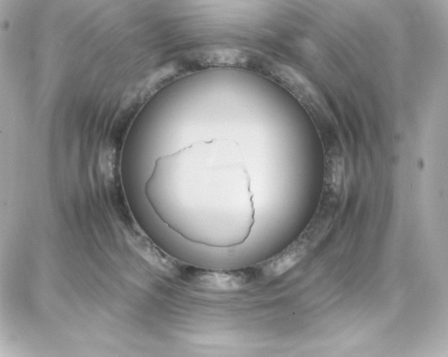 X0000087750326200705211043