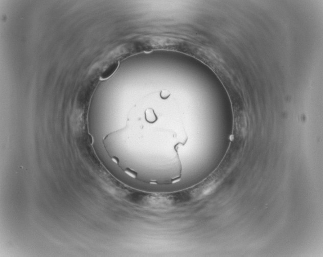 X0000087750327200705211043