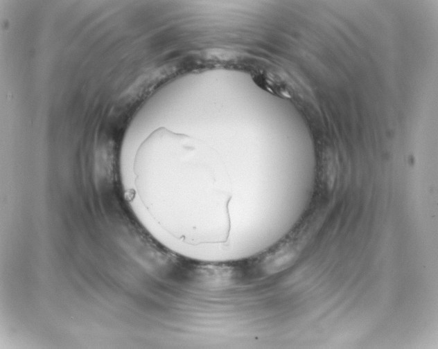 X0000087750328200705211043