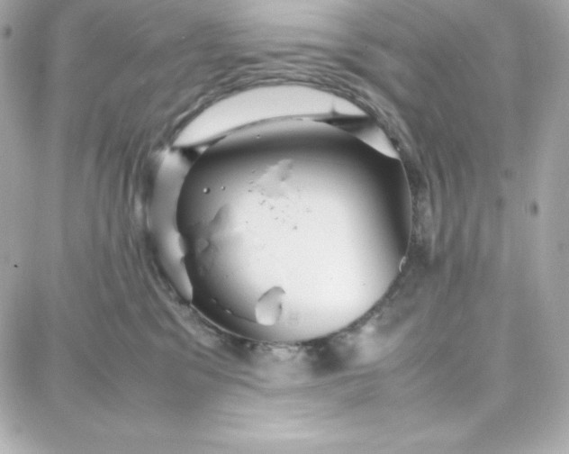 X0000087750329200705211043