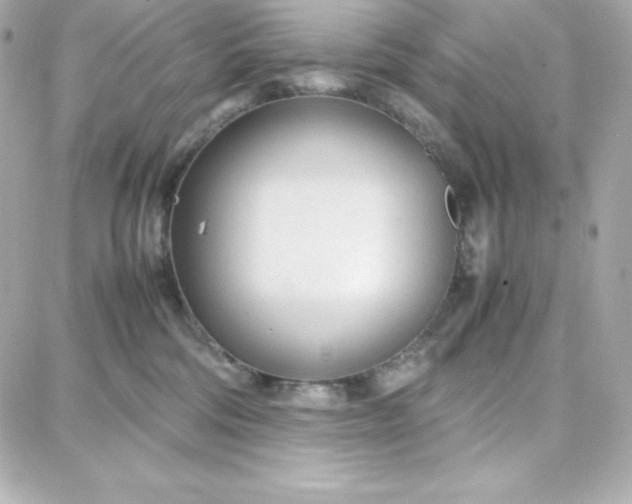 X0000087750330200705211043