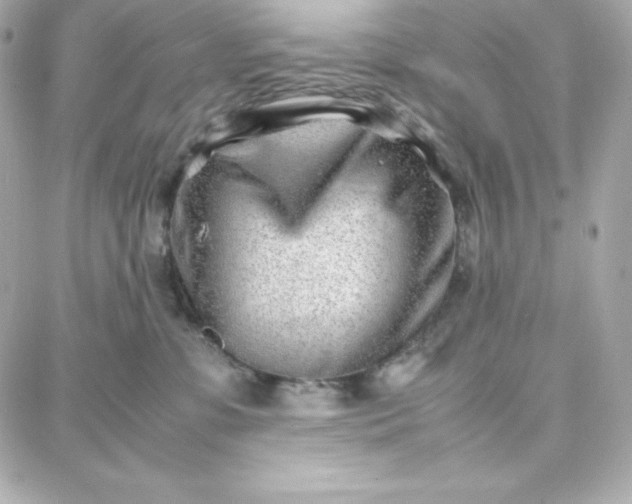 X0000087750331200705211043