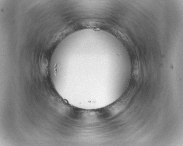 X0000087750332200705211043