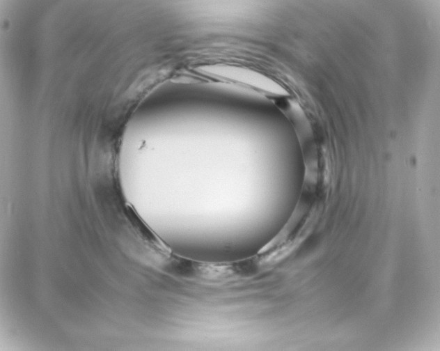 X0000087750333200705211043